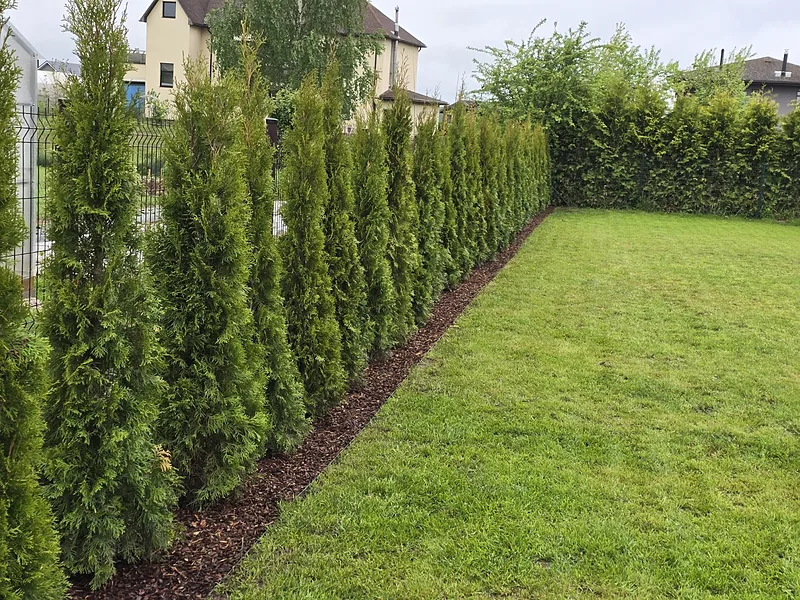 dzivzogu-stadisana